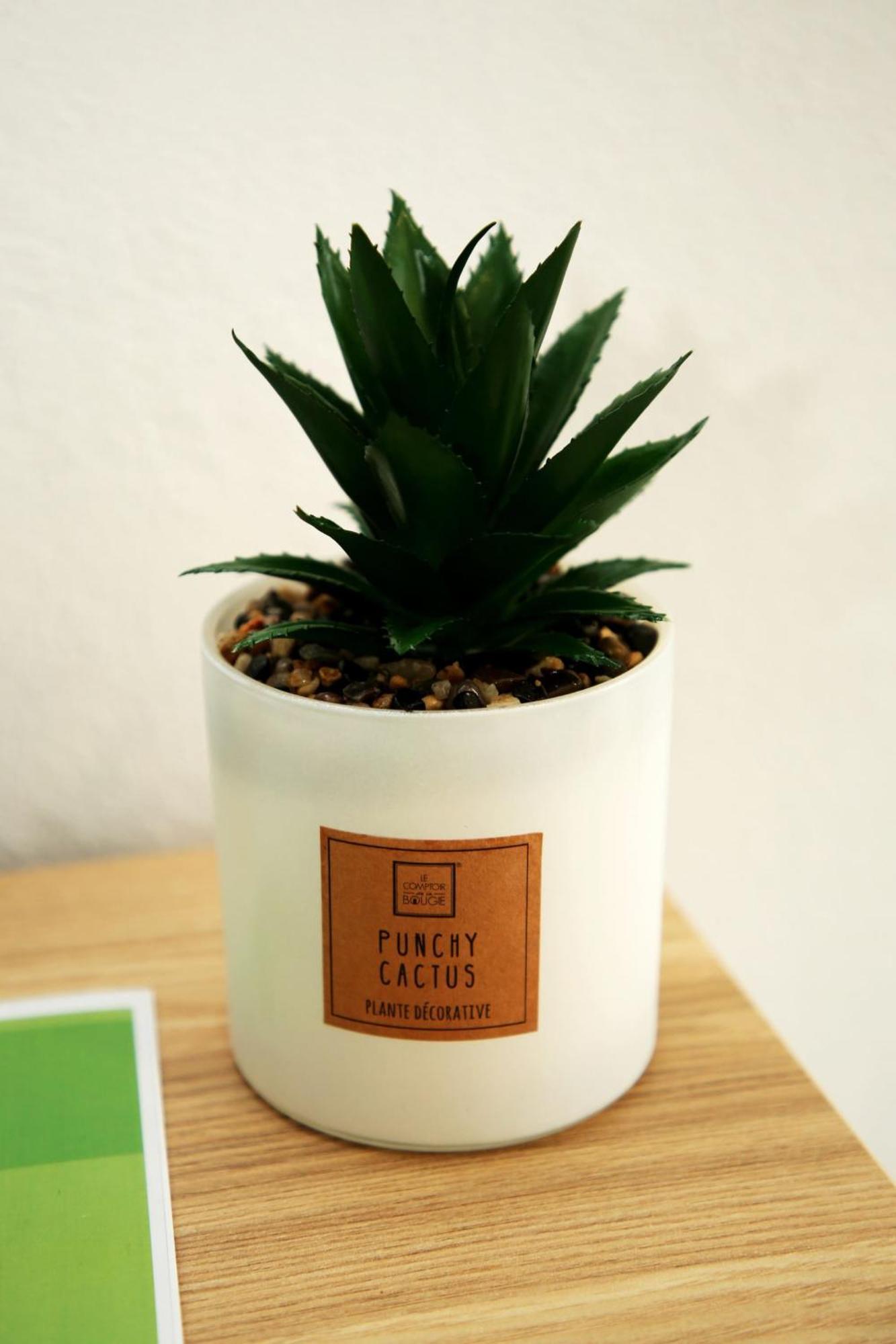 Apartamento Mae De Deus Ponta Delgada Buitenkant foto
